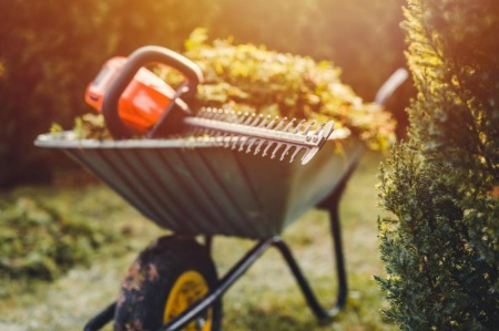 D&eacute;brousaillage &agrave; Grandfontaine : quand et comment proc&eacute;der ?